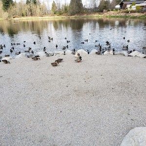 Meet your Posher, Travis